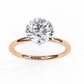 14K Rose Gold